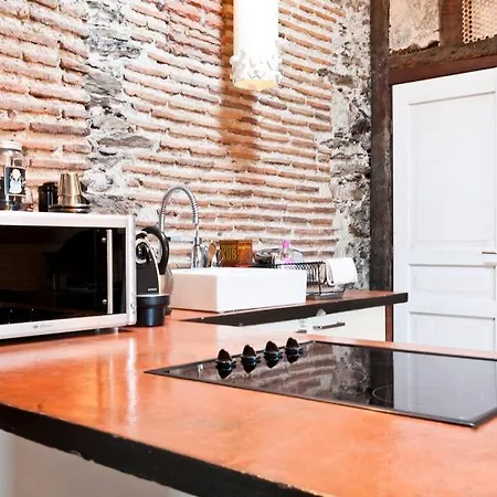 Loft Dans Le Centre Historique 아파트 *