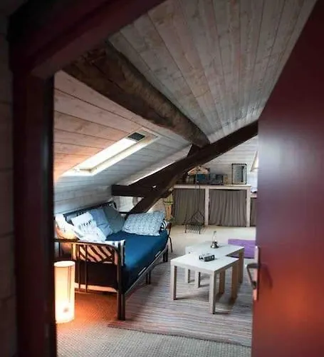 Loft Dans Le Centre Historique Διαμέρισμα *